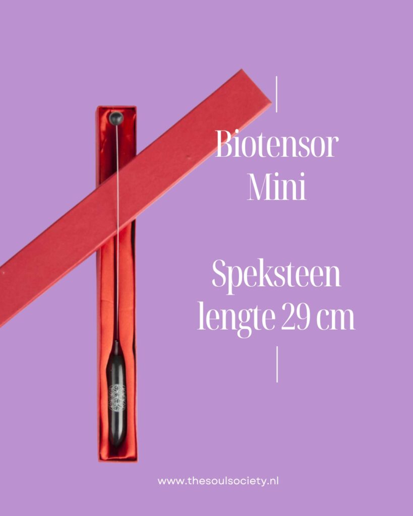 Biotensor mini 29 cm in leuke koker